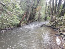 Kačáka above Hostim