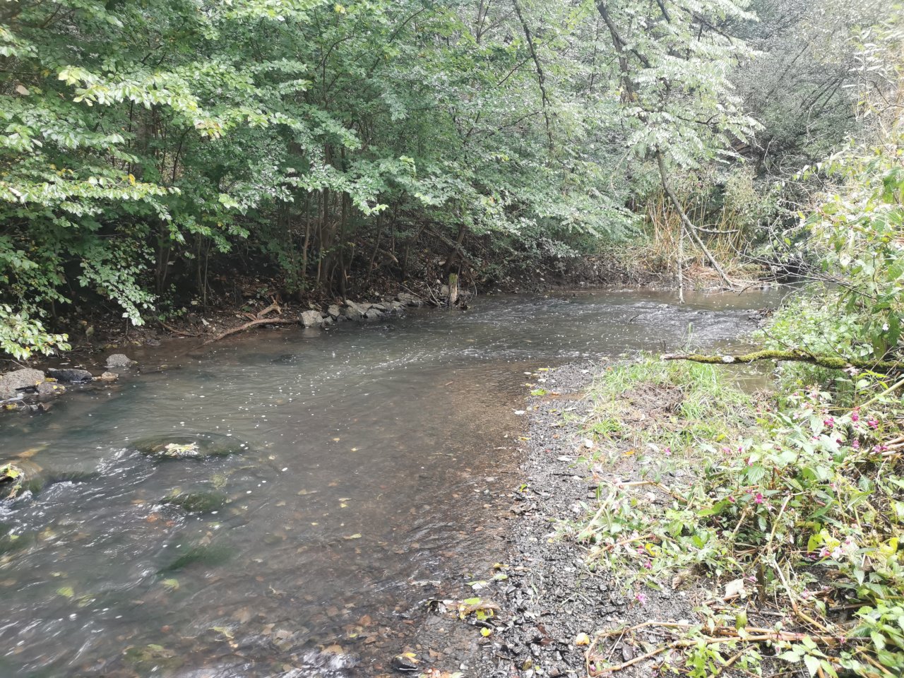 Ka��ka above Hostim