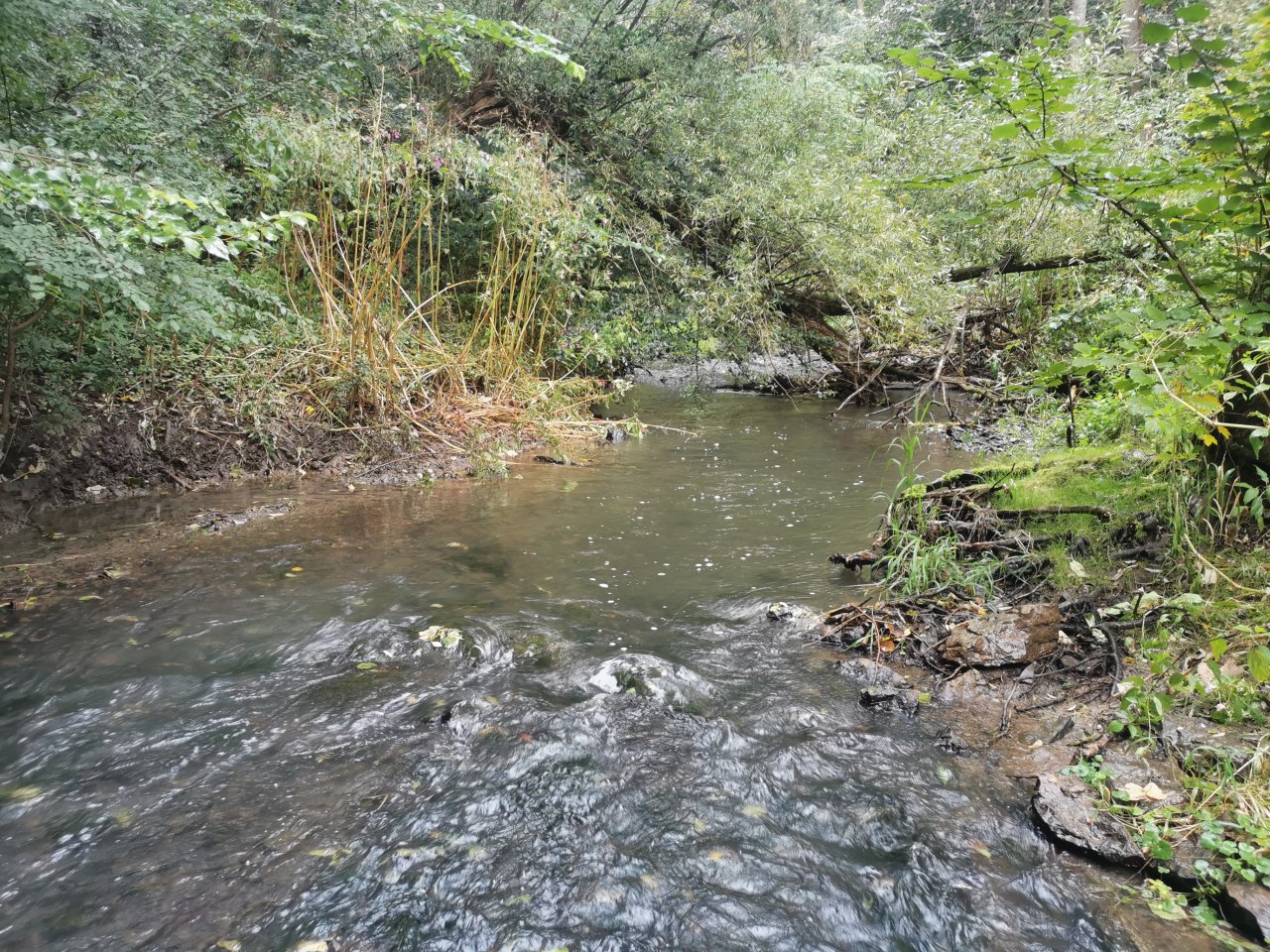 Ka��ka above Hostim