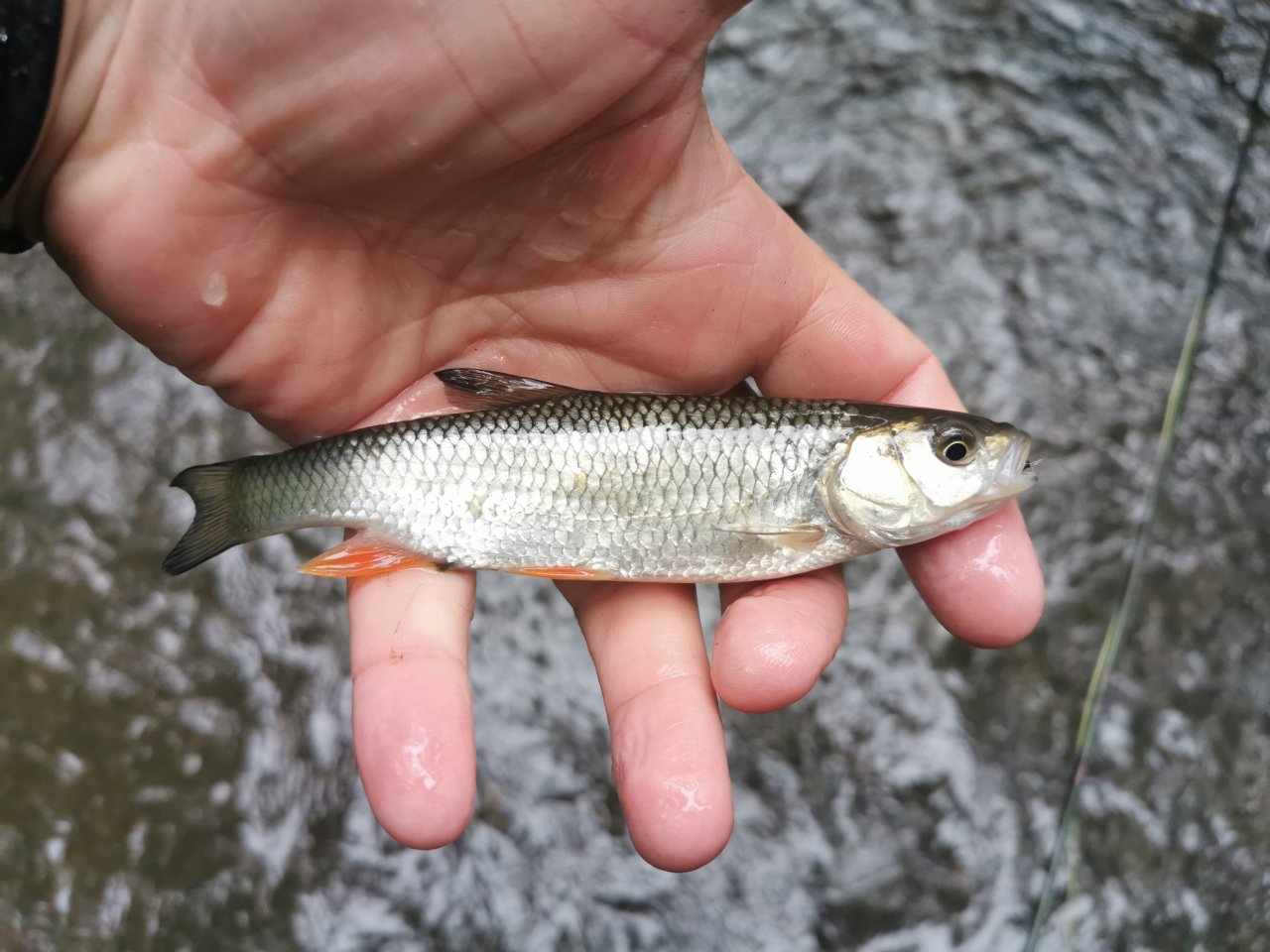 Ka��ka above Hostim