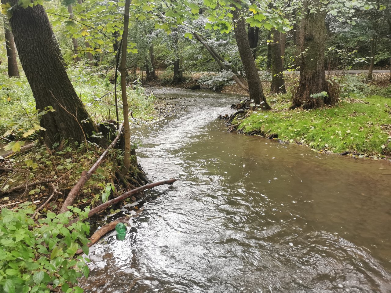 Ka��ka above Hostim