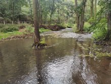 Kačáka above Hostim