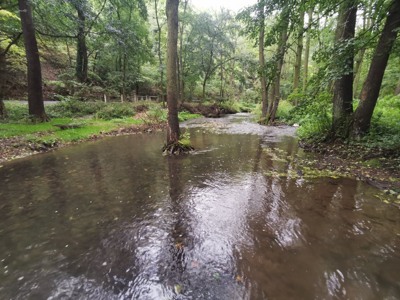 Ka��ka above Hostim