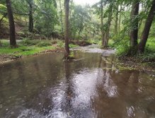 Kačáka above Hostim