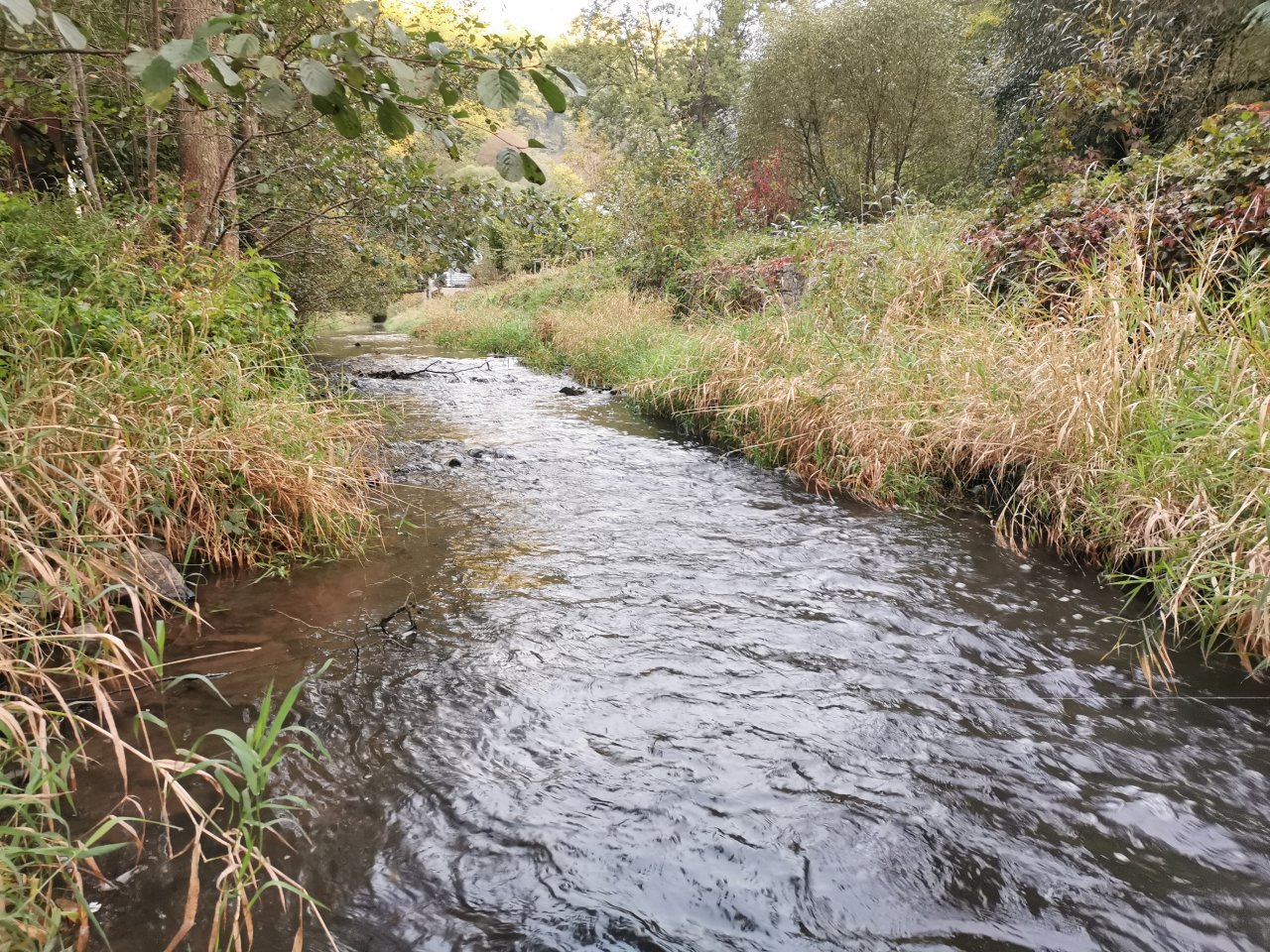 Ka��ka above Hostim