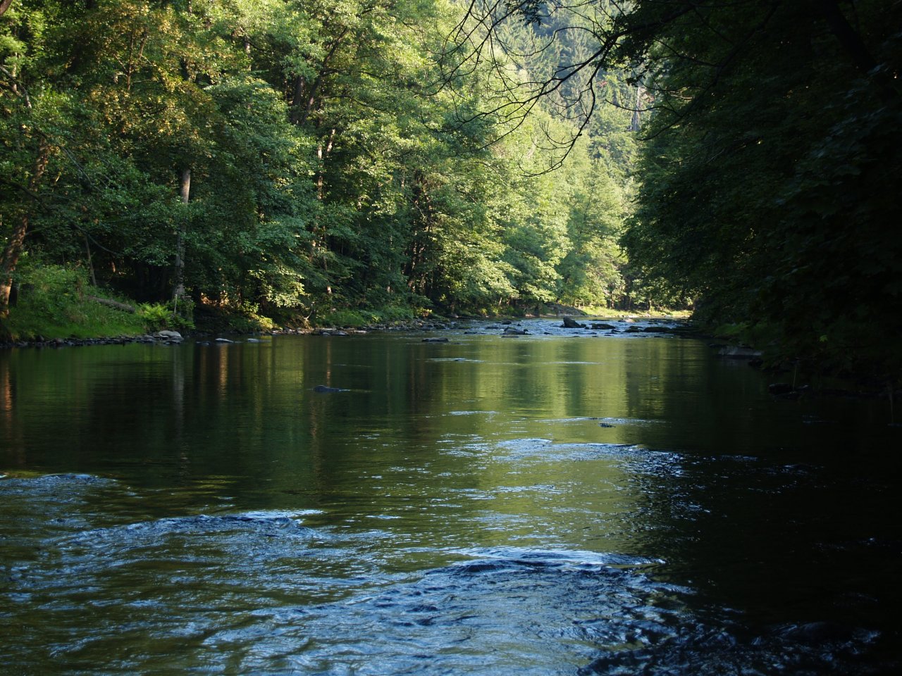 Jizera above Ponikla