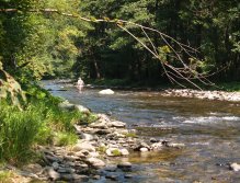 Jizera above Ponikla