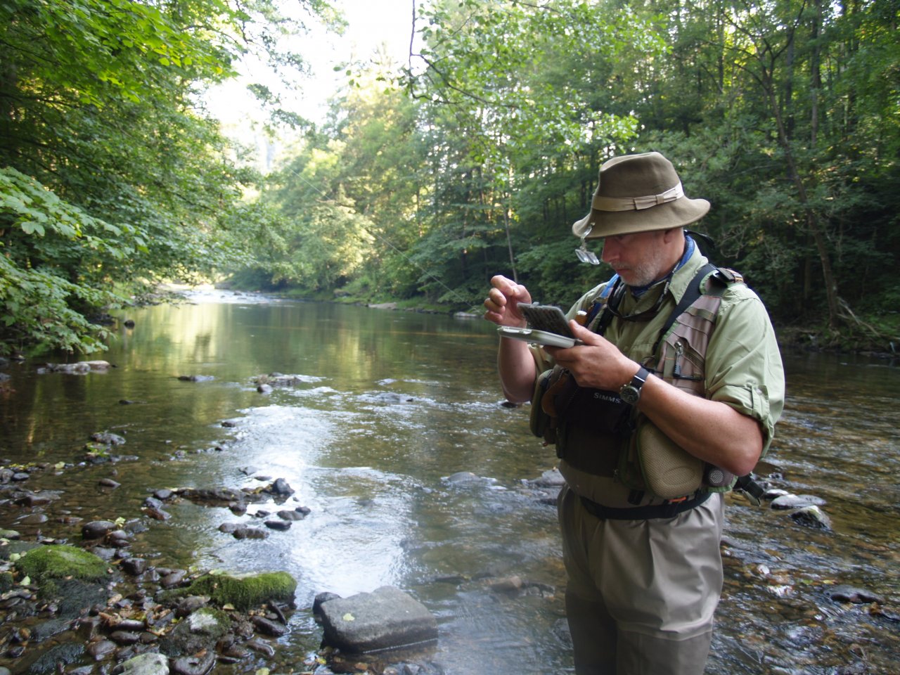 Jizera above Ponikla