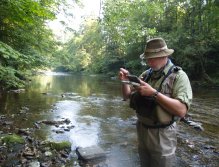 Jizera above Ponikla