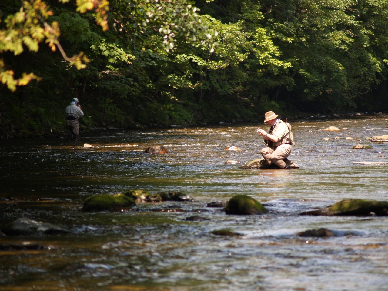 Jizera above Ponikla