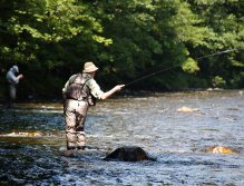 Jizera above Ponikla