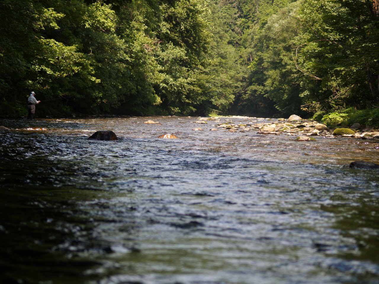 Jizera above Ponikla