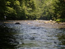 Jizera above Ponikla