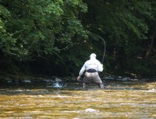 Jizera above Ponikla