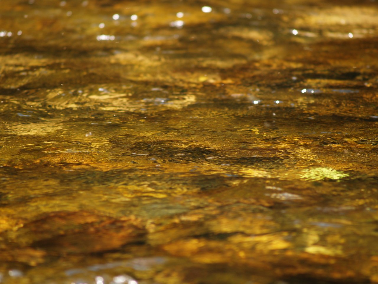 Jizera above Ponikla