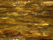 Jizera above Ponikla