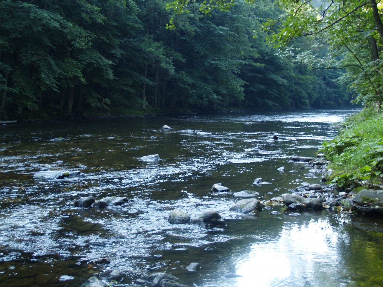 Jizera above Ponikla