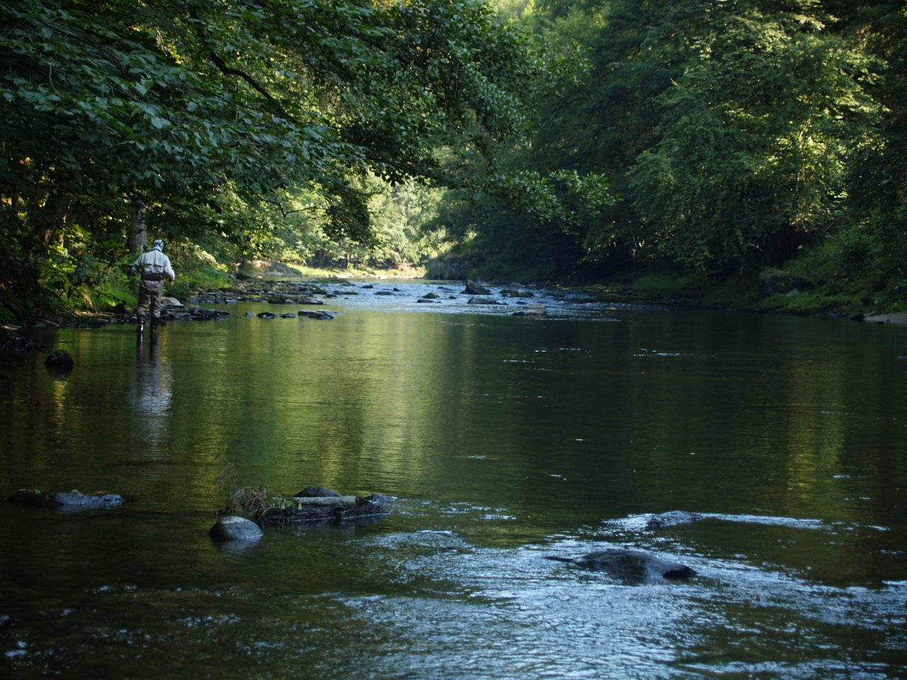 Jizera above Ponikla