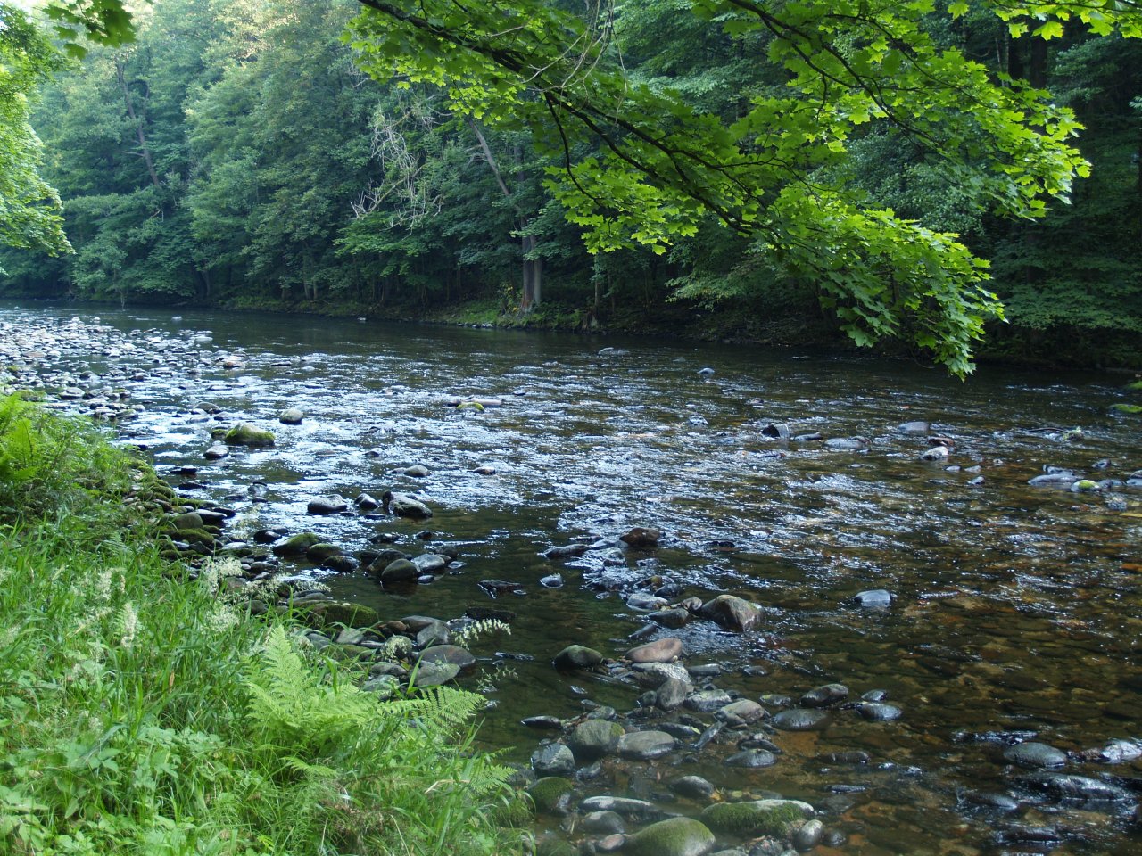Jizera above Ponikla