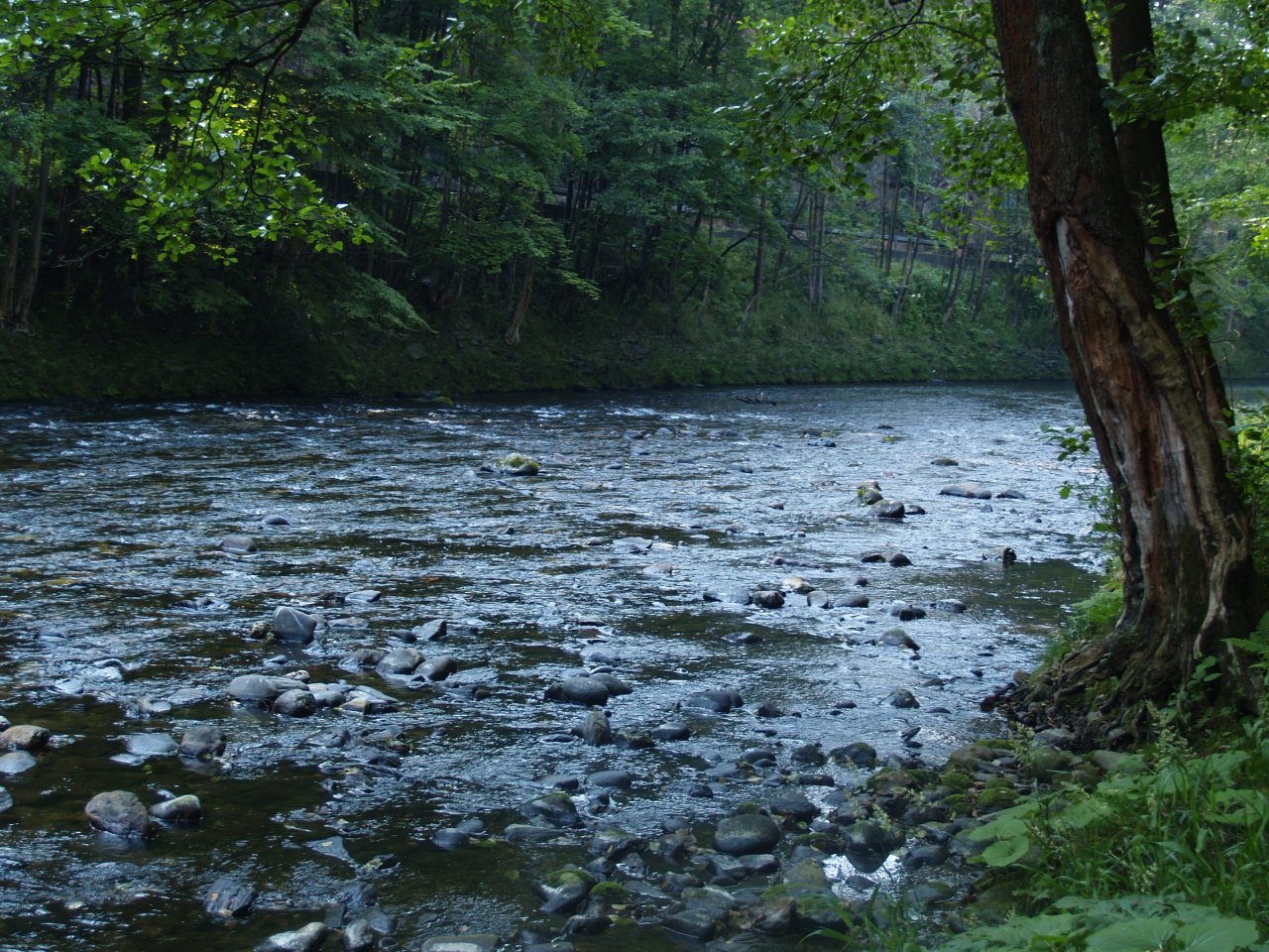 Jizera above Ponikla