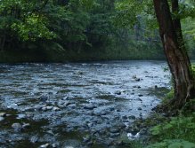 Jizera above Ponikla