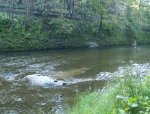 Jizera above Ponikla