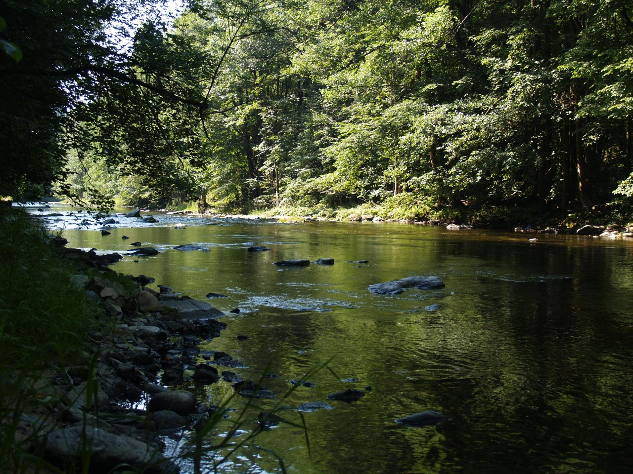 Jizera above Ponikla
