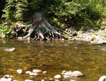 Jizera above Ponikla