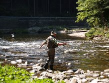 Jizera above Ponikla