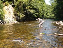 Jizera above Ponikla