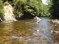 Jizera above Ponikla, Czech Republic