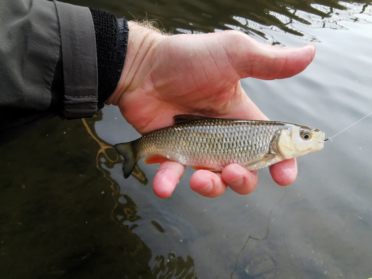 Boti� stream in Prague - Z�b�hlice