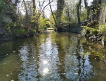 Botič stream in Prague - Záběhlice