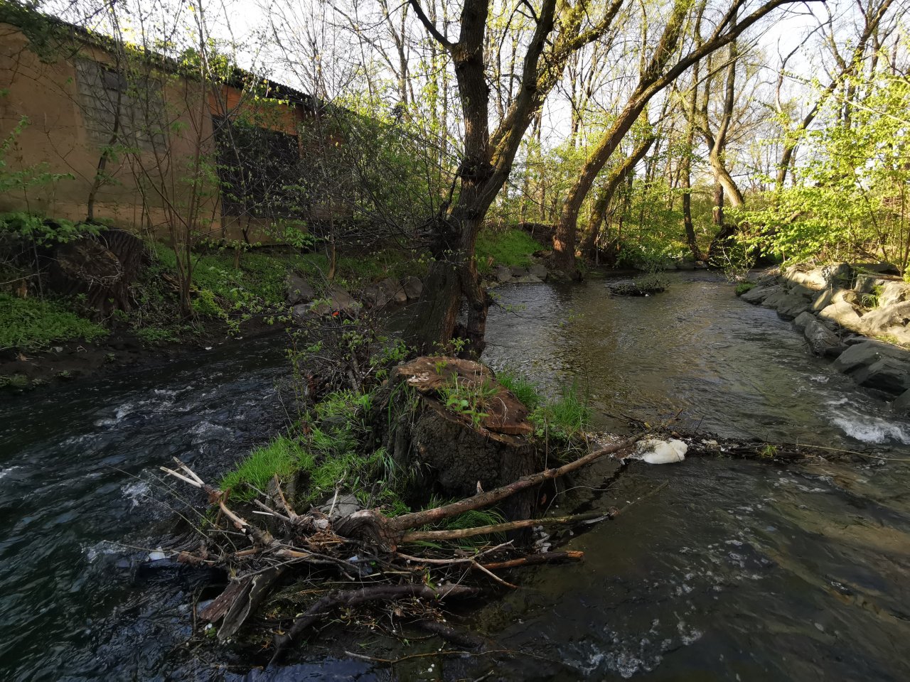 Boti� stream in Prague - Z�b�hlice