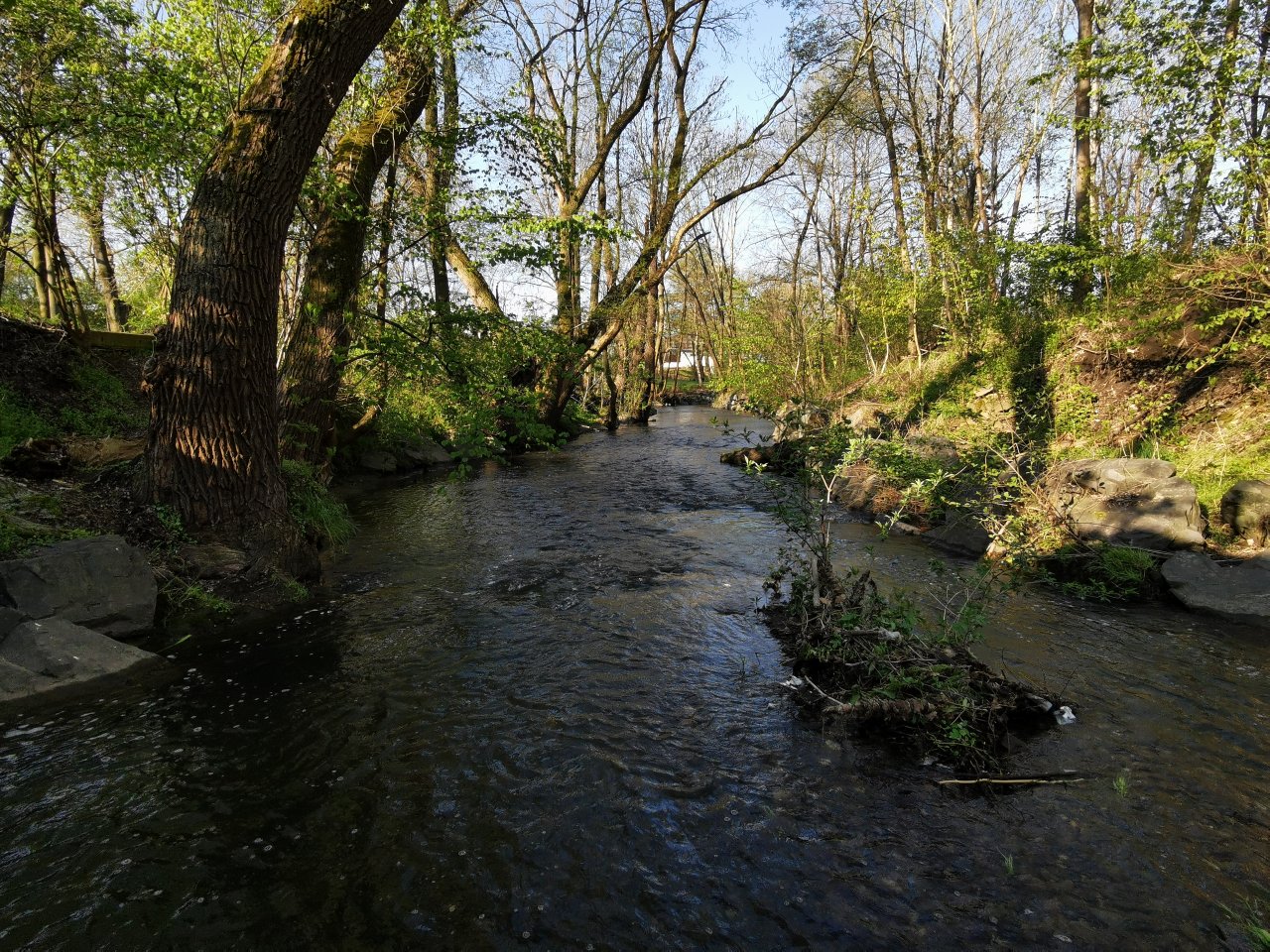 Boti� stream in Prague - Z�b�hlice