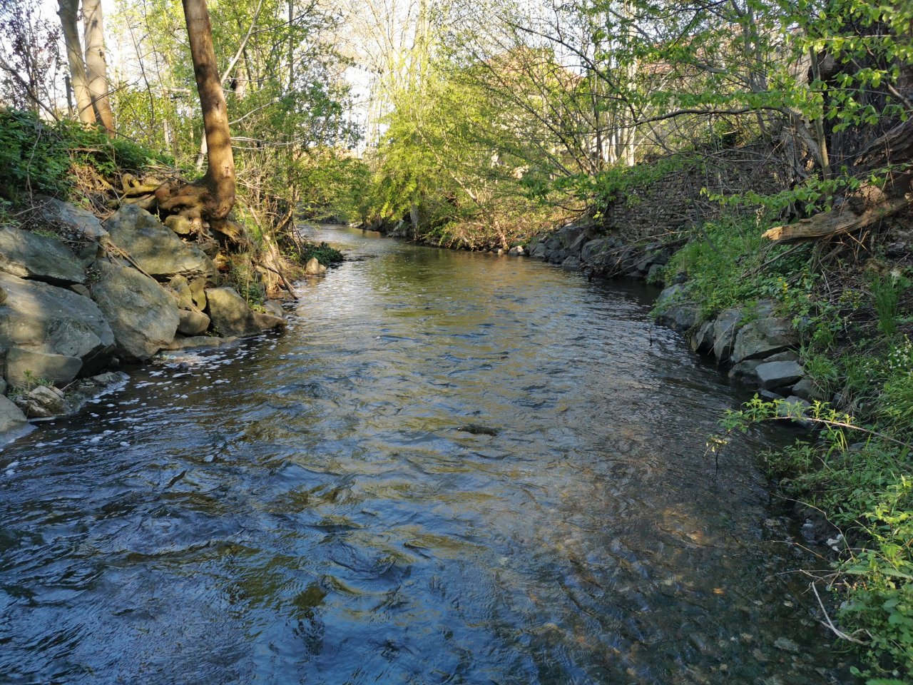 Boti� stream in Prague - Z�b�hlice