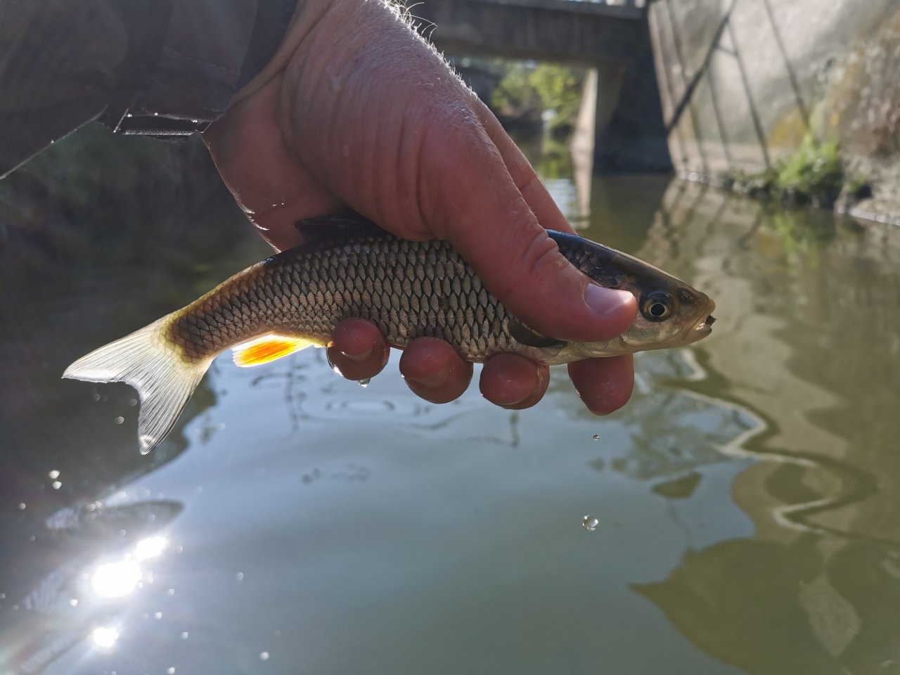 Boti� stream in Prague - Z�b�hlice