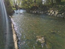 Botič stream in Prague - Záběhlice