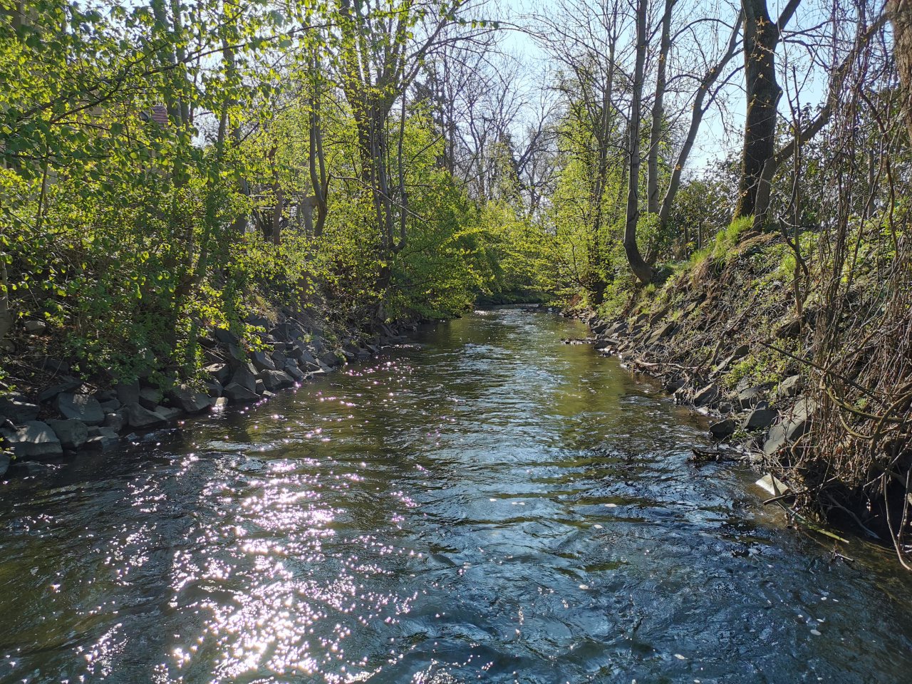 Boti� stream in Prague - Z�b�hlice