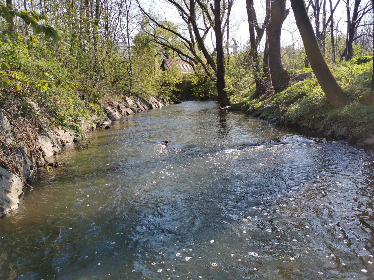 Boti� stream in Prague - Z�b�hlice