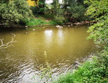 Litavka above the confluence with Berounka