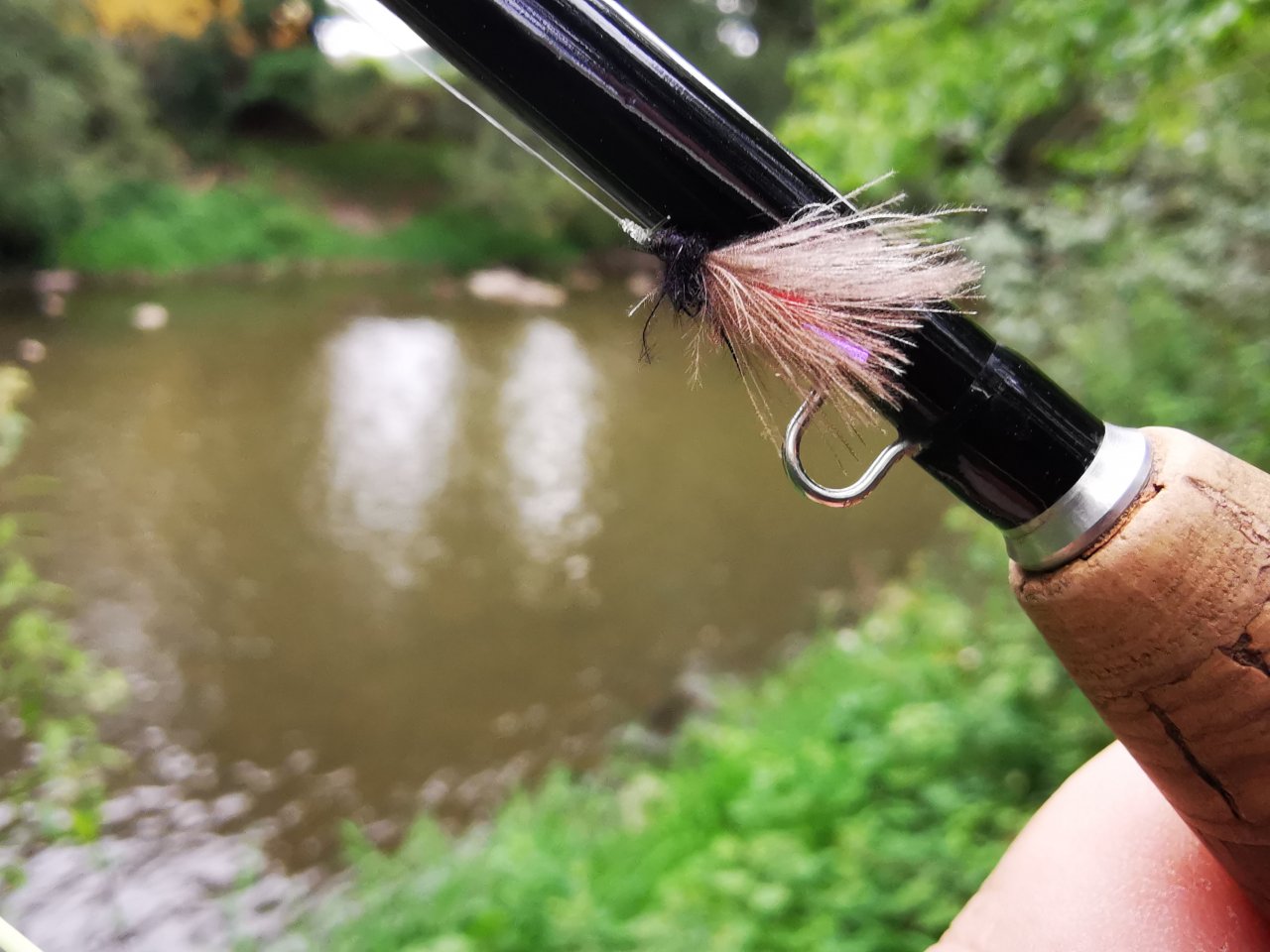 Litavka above the confluence with Berounka