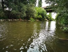 Litavka above the confluence with Berounka