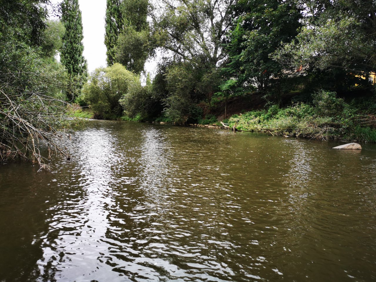 Litavka above the confluence with Berounka