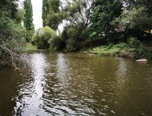 Litavka above the confluence with Berounka