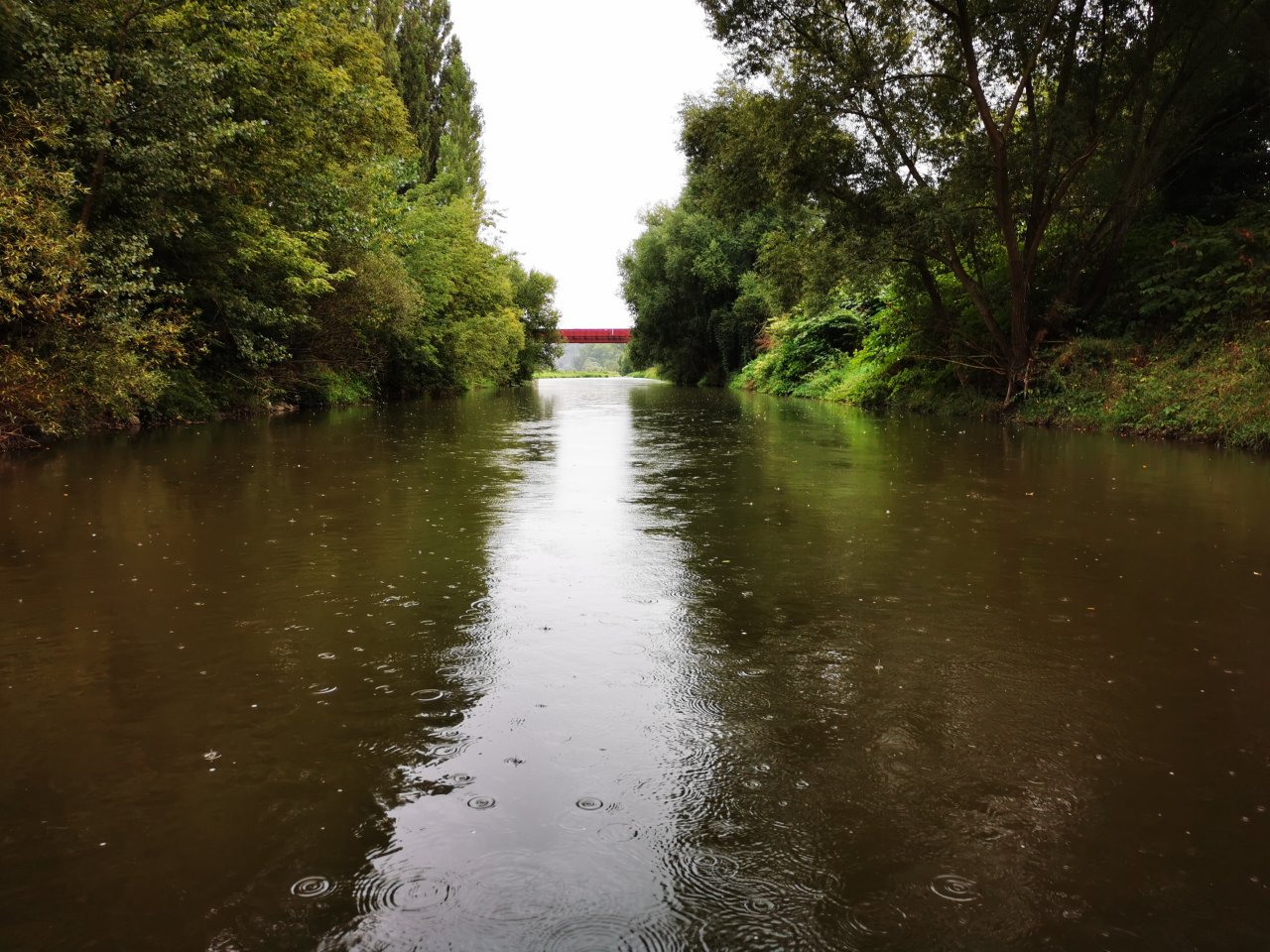 Litavka above the confluence with Berounka