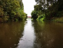 Litavka above the confluence with Berounka