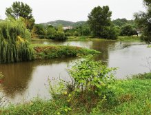 Litavka above the confluence with Berounka
