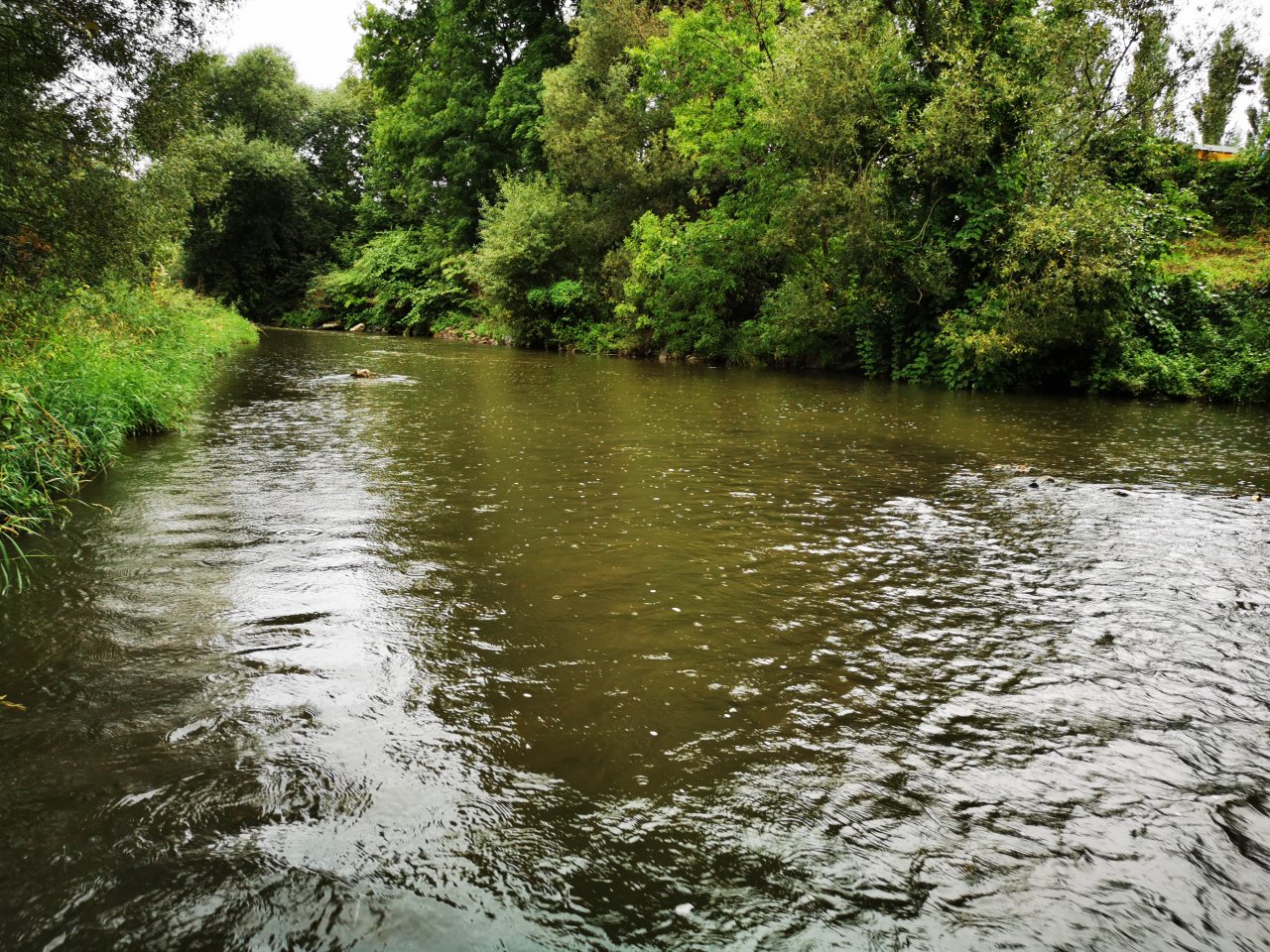 Litavka above the confluence with Berounka