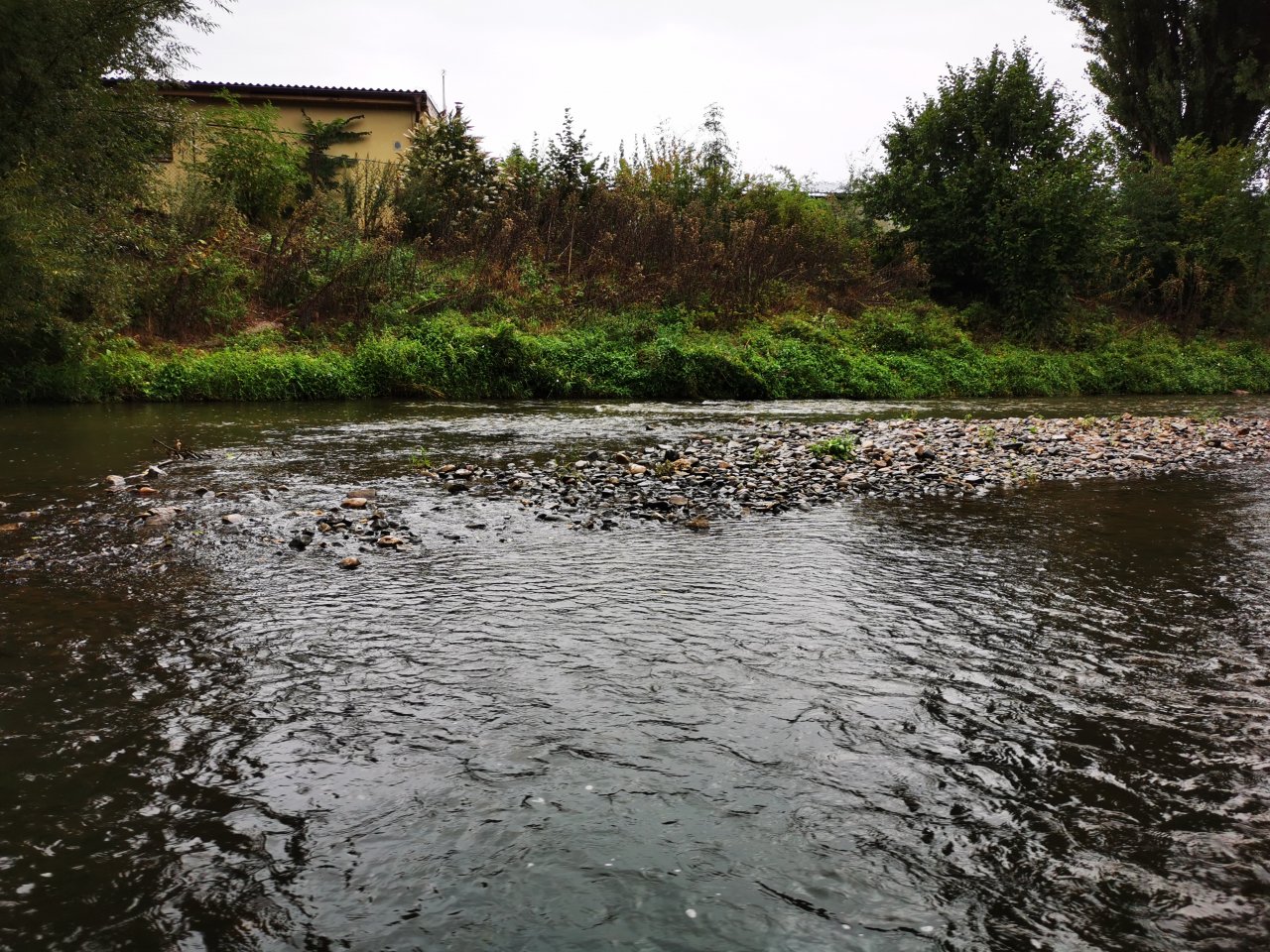 Litavka above the confluence with Berounka